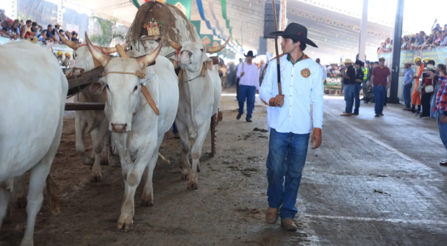 TRINDADE RECEBE TRADICIONAL DESFILE DE CARROS DE BOI, CAVALEIROS E MULADEIROS