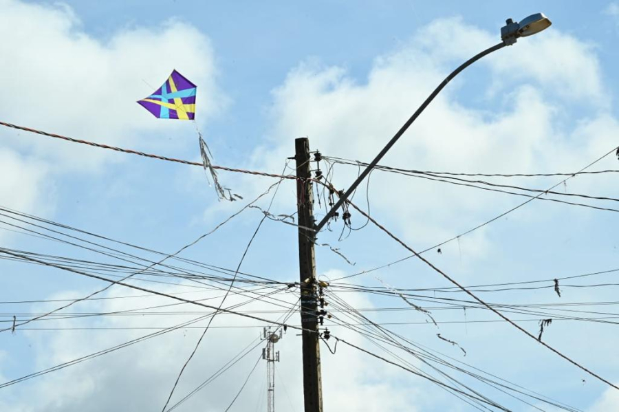 PIPA NA REDE ELÉTRICA PODE DEIXAR MILHARES DE PESSOAS SEM ENERGIA, ALERTA EQUATORIAL GOIÁS