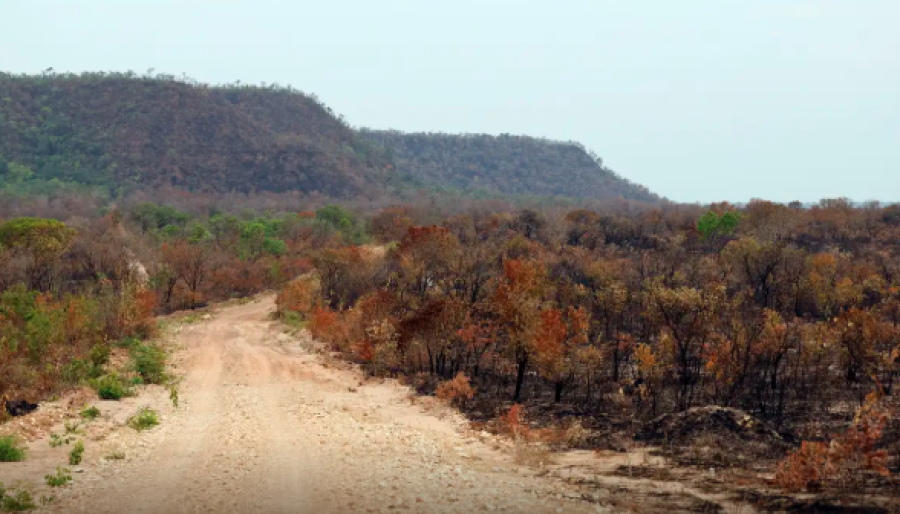 MENOR COBERTURA DE VEGETAÇÃO NATIVA DEIXA BRASIL MAIS VULNERÁVEL AOS EFEITOS DO EL NIÑO