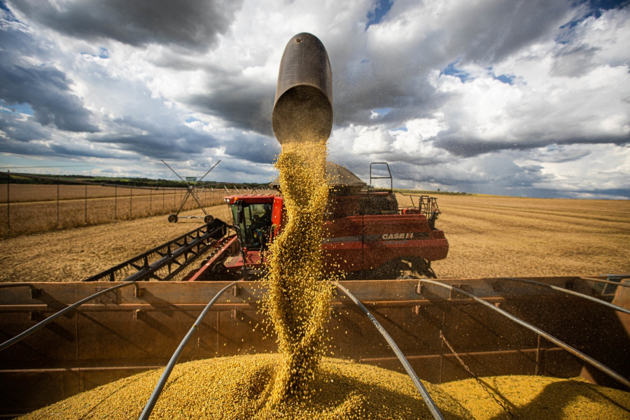 RENDA MÉDIA NO AGRONEGÓCIO DE GOIÁS CRESCE 20,5% E CHEGA A R$ 5,5 MIL