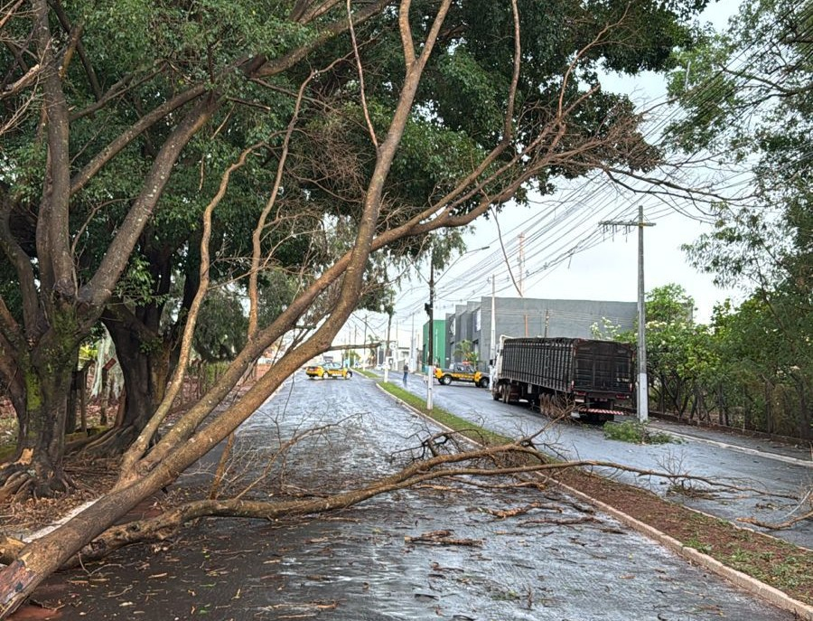 SUDOESTE GOIANO TEM ALERTA PARA TEMPORAIS NESTA QUARTA-FEIRA