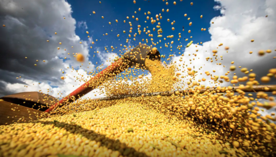 PRODUÇÃO AGRÍCOLA BRASILEIRA SUPERA R$ 927 BILHÕES EM 2025