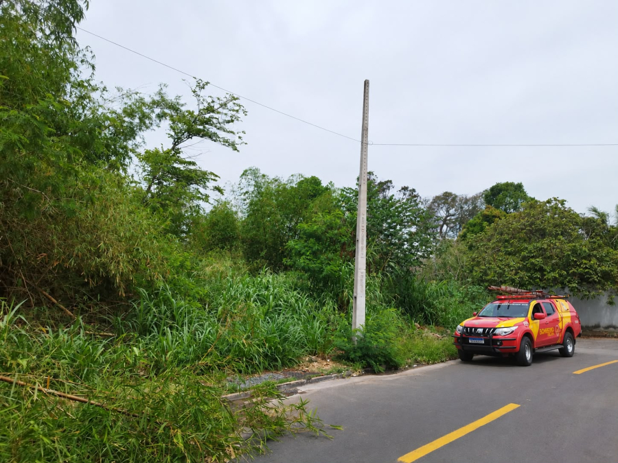 BOMBEIROS ENCONTRAM OSSADA HUMANA DURANTE BUSCAS POR IDOSA DESAPARECIDA EM GOIÂNIA